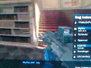 mysia duvar izliyor-001