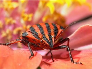 El Jardin Viviente Vivir entre flores