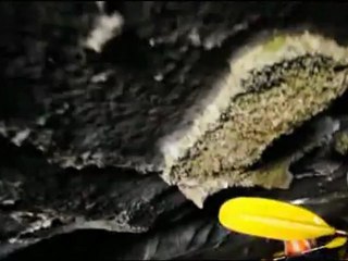 Voyage Halong -  Ninh Binh Vietnam