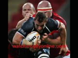 watch Rugby Match Glasgow vs Scarlets feb 2012 Live Stream