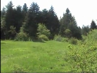 Allah Allah Kerim Allah