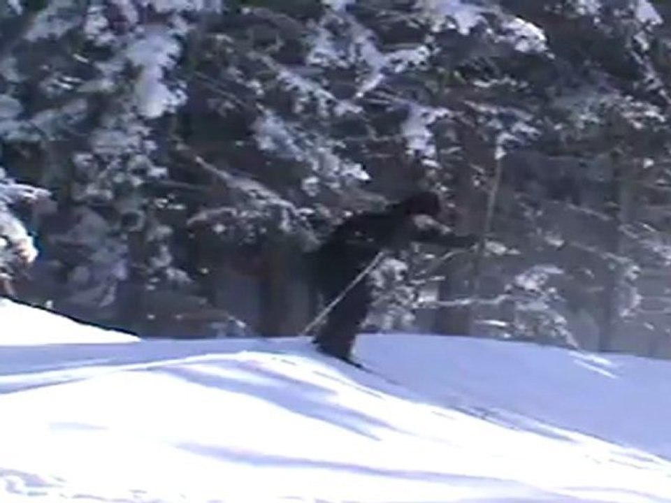 moi aussi je sais faire du ski !