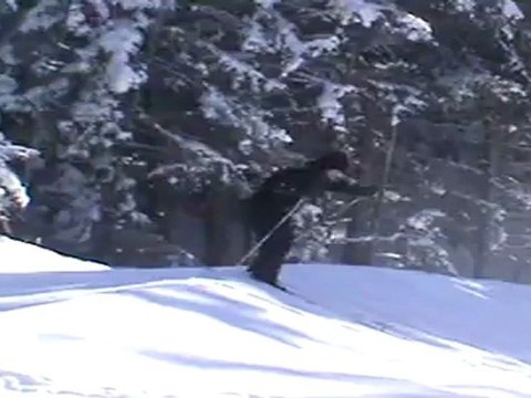 moi aussi je sais faire du ski !