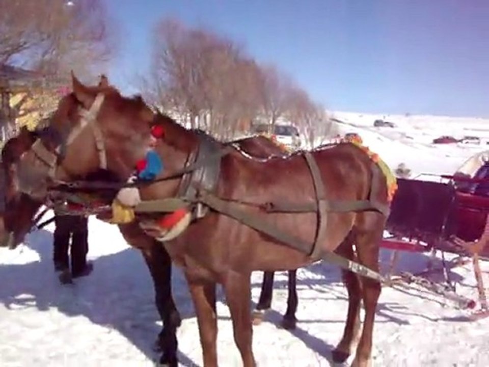 "Serhan ALTINOK " karlar altında Kars