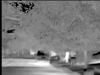 Thermal weapon sights