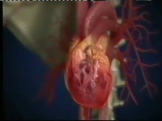 Drogas y salud: Autopsia virtual