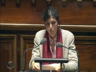 PPL Barbier : Suite de l'intervention de Virginie KLES