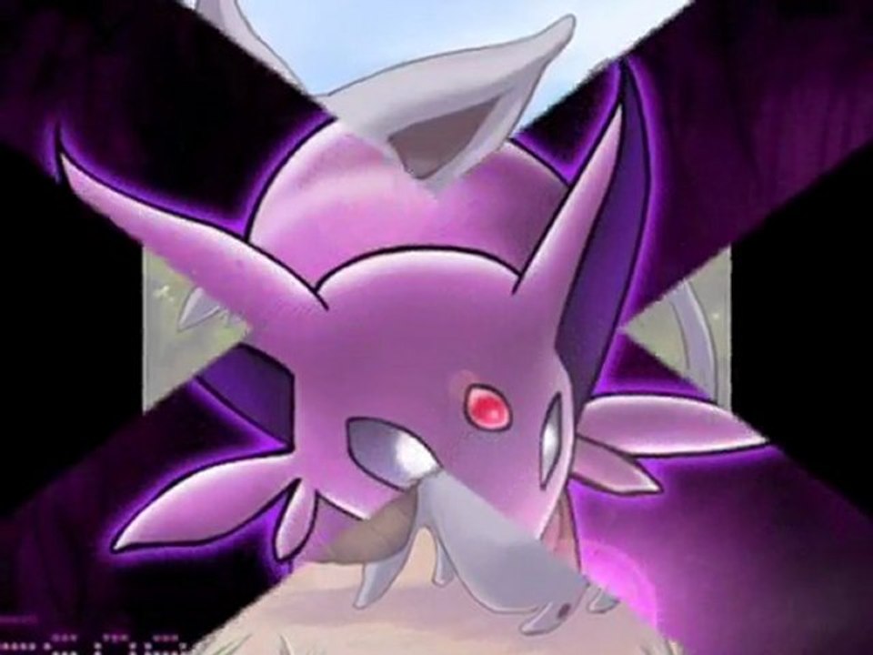 EVOLI DIAPO