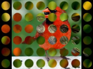 타짜카지노 （( ◈ pal555.ch.gg ◈ )