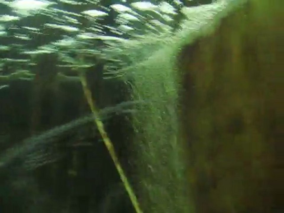 MVI_0303