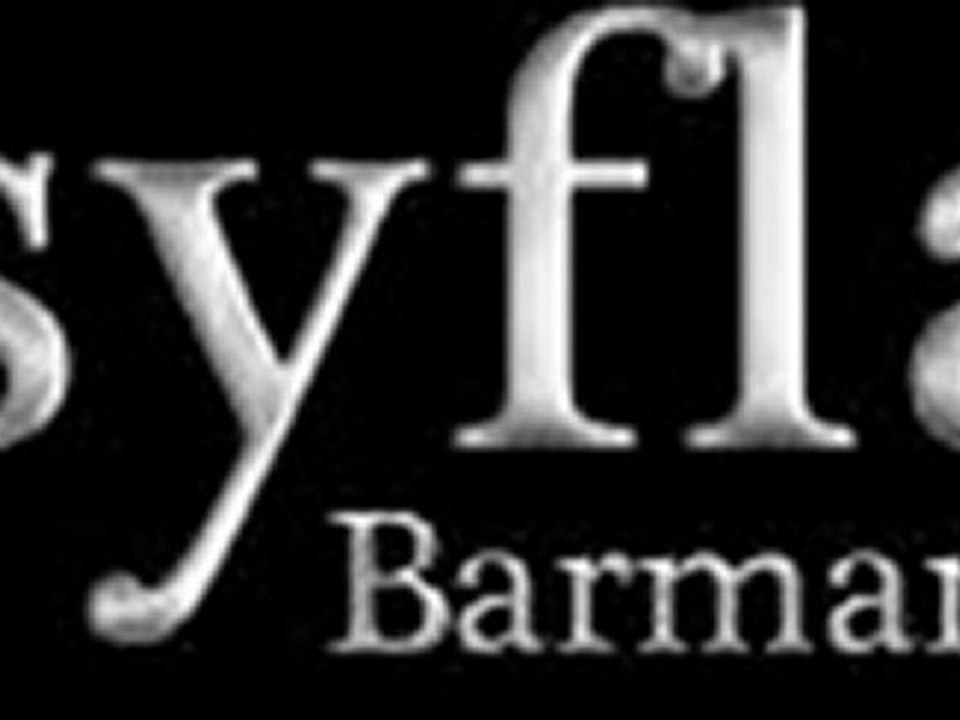 Easyflair barman jongleur