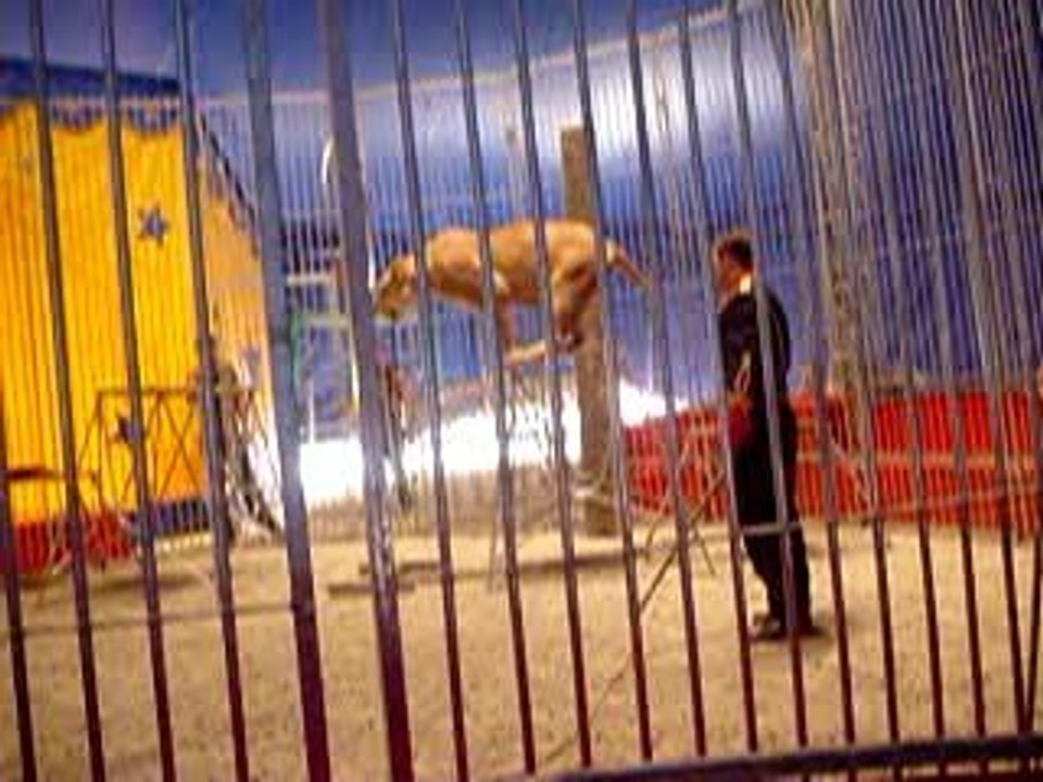 2006-09-10 video Jade au cirque