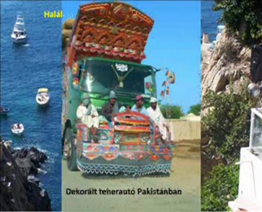 video.xfree.hu.A világ érdekességei érdekes képek - kreatív - Érdekes képek a világból. TVN.HU Videótár