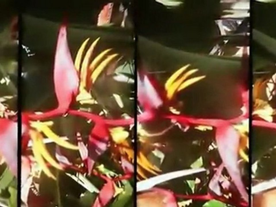 Verão CAPRICHO: Bruno Anacleto mostra as 5 músicas mais bombadas do verão!