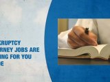 Bankruptcy Attorney Jobs In Wildwood MO