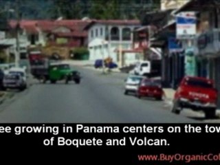 Panama Mountain Grown Organic Coffee