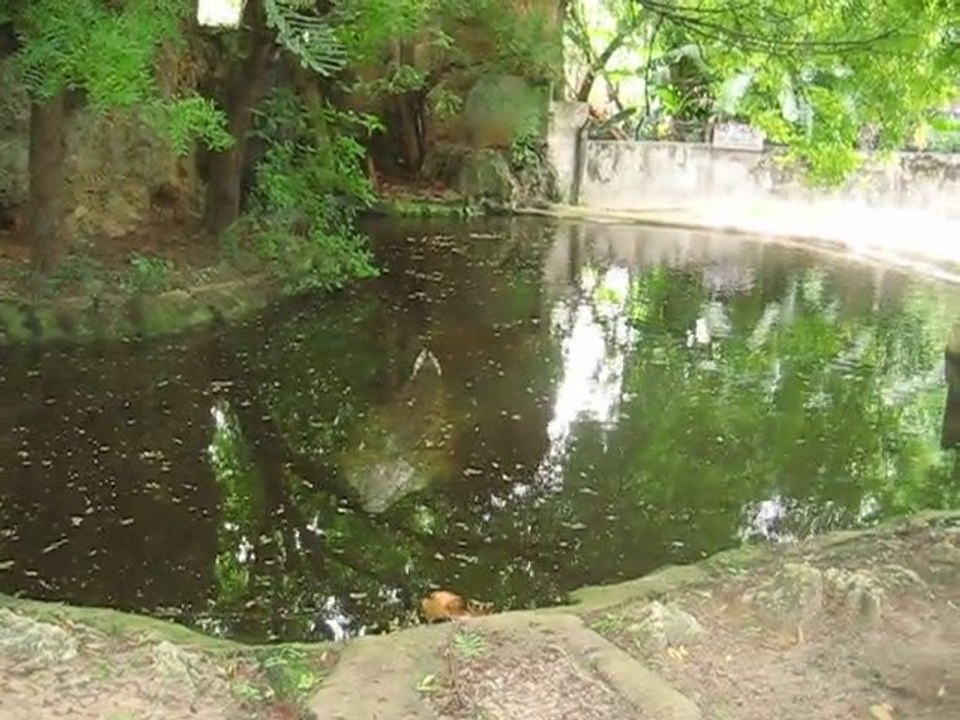f-001