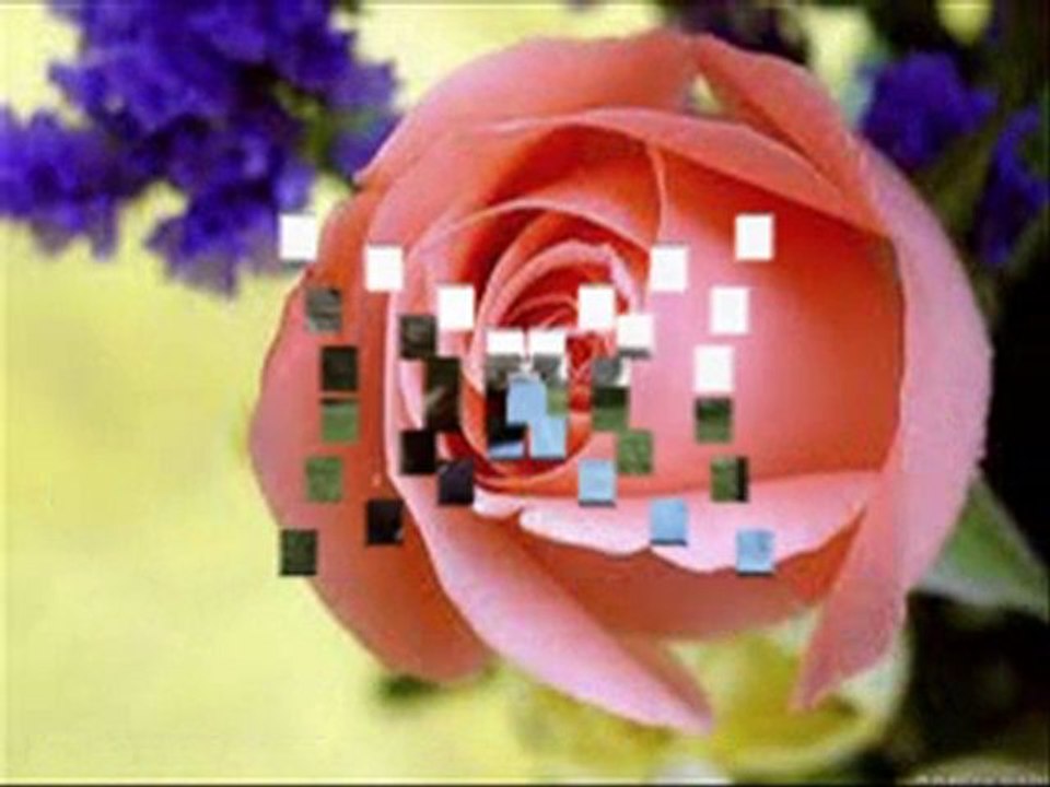 SENİNLE HERŞEYE VARIM BEN(ENGEL GÖREN VAR MI)