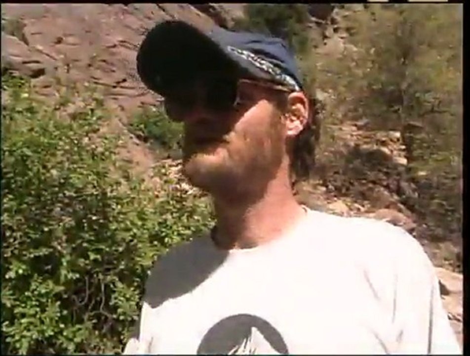 Biscuit the Climbing Dog from FRONT RANGE FREAKS