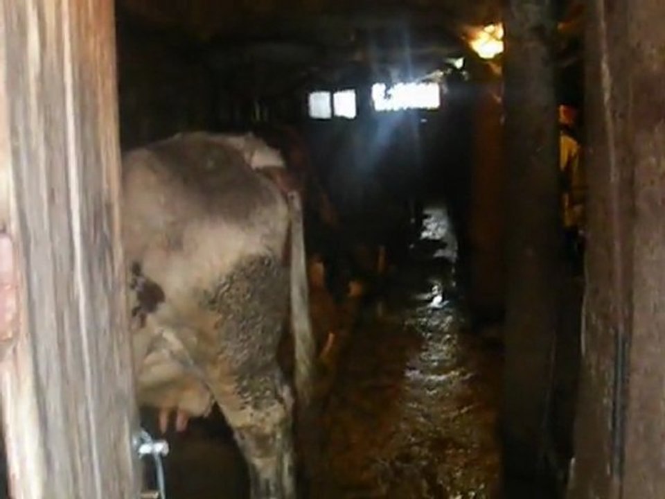 ski chapelle d'abondance 2012 e