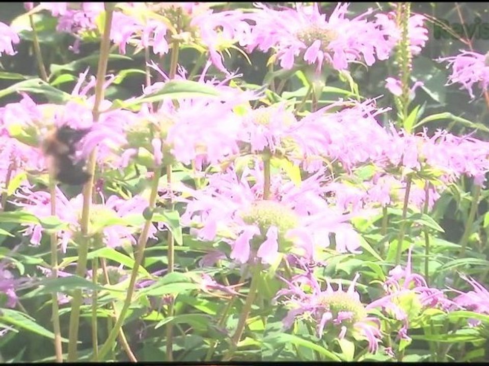 Disney's Home Theater Helper, Green Tech? Try a Sweater!, Search Out DRM Locked Files, Fix Blu-rays That Won't Play, Convert Super 8 to HD, & More! - Tekzilla