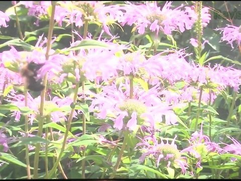 Disney's Home Theater Helper, Green Tech? Try a Sweater!, Search Out DRM Locked Files, Fix Blu-rays That Won't Play, Convert Super 8 to HD, & More! - Tekzilla