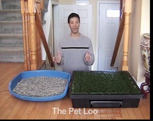 Indoor Potty Training Dog Bathroom