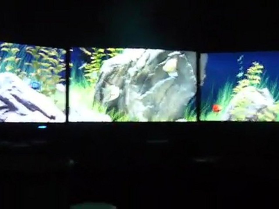 mon Aquarium virtuel :P