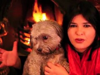 Scorpio free Valentines week astrology with Michele Knight