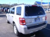 2010 Ford Escape for sale in Nashville TN - Used Ford by EveryCarListed.com