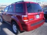 2009 Ford Escape for sale in Nashville TN - Used Ford by EveryCarListed.com