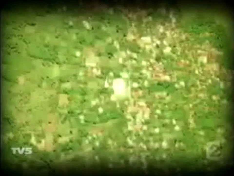 Vous n'allez pas en croire vos yeux Subhane Allah - YouTube