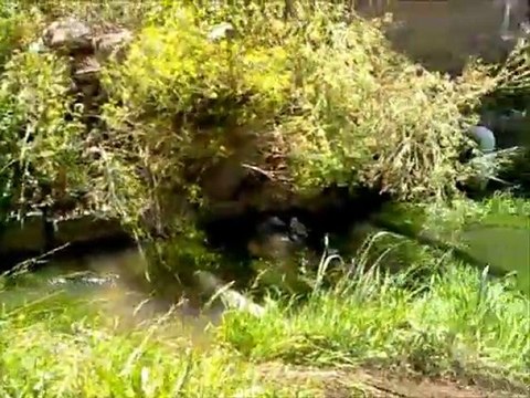 Erzurum - Kaynak Köyü