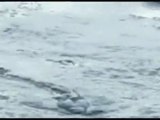 Un monstre marin filmé en Islande : Lagarfljóts Worm