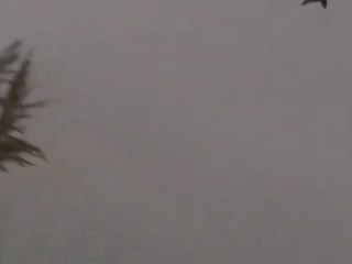 eber ördek avımız