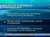 Paraguay intenta volver a exportar carnes