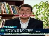 Diputados bolivianos aprobarían hoy consulta sobre TIPNIS
