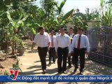 BẢN TIN THỜI SỰ 19H 06.02.2012 TRUYỀN HÌNH THÔNG TẤN, TTXVN, VNEWS, VNA, THỜI SỰ