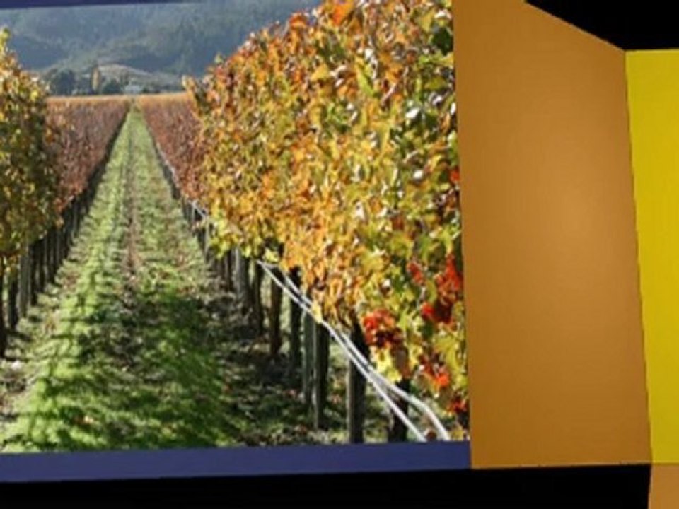 Buying Petrus Wine Online