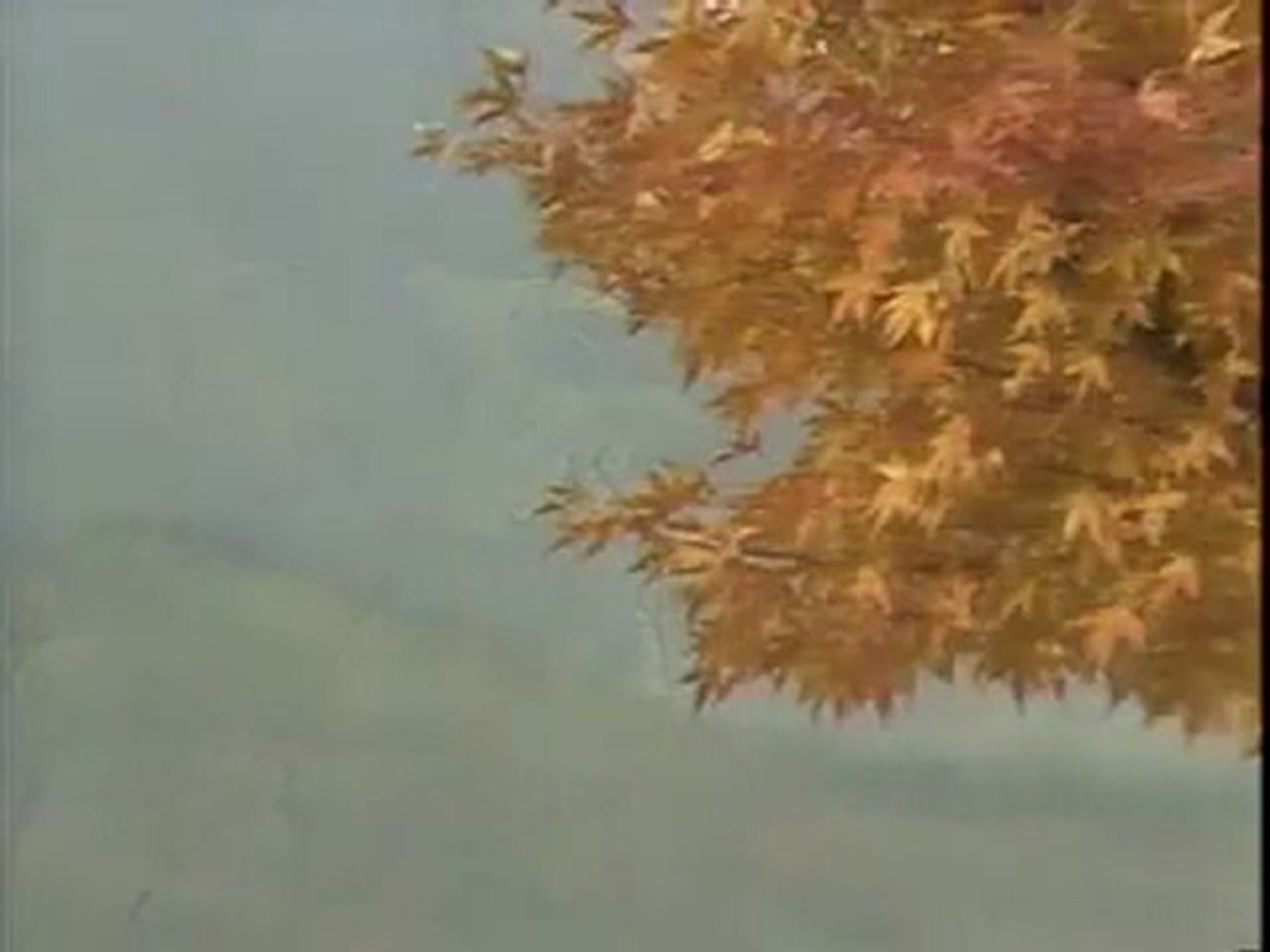 懐メロカラオケ 雨に咲く花 原曲 井上ひろし 影片 Dailymotion