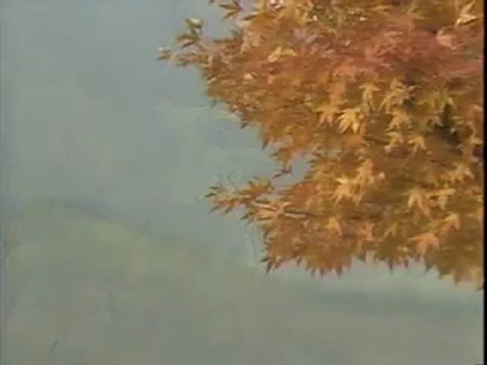 懐メロカラオケ　「雨に咲く花」　原曲♪ 井上ひろし