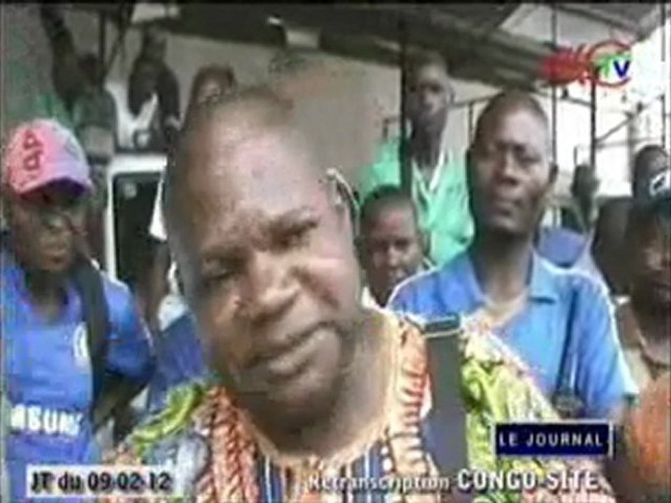 Les syndicats de la société Eucalyptus fibre du Congo s’insurgent contre l’abattage sauvage d’eucalyptus