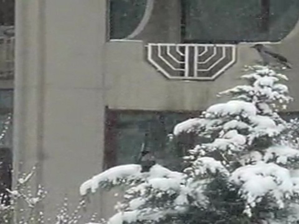 LİBADİYE'DE KAR-10022012