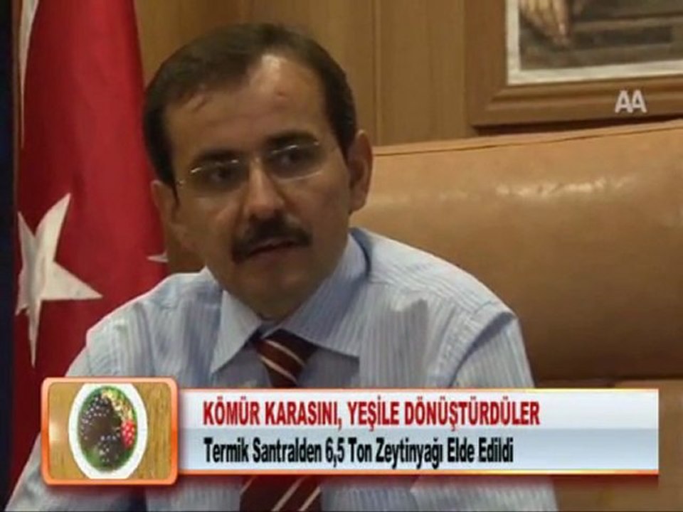 KÖMÜR KARASINI, YEŞİLE DÖNÜŞTÜRDÜLER 06.02.2012