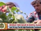 MEVSİMLİK TARIM İŞÇİLERİ DE SİGORTALI OLACAK 09.02.2012