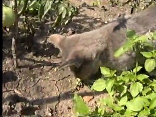 Продолжение