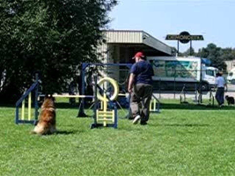 agility 4