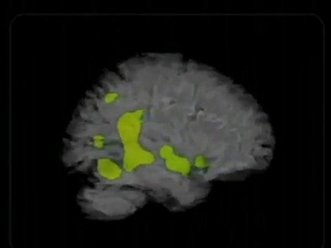 Escepticos: Terapias alternativas