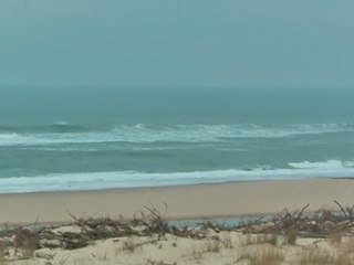Vendredi 10 Février - Surf report vidéo 11H30