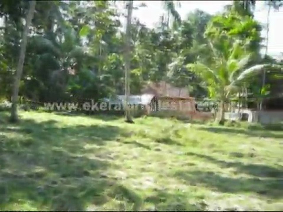 Alappuzha Real Estate - Land for sale at Pela, Chettikulangara, Alappuzha